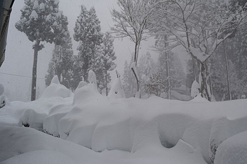 庭の雪