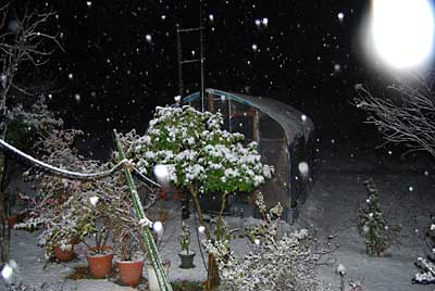 夜になって雪になってしまいました。