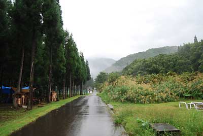 朝から雨です。