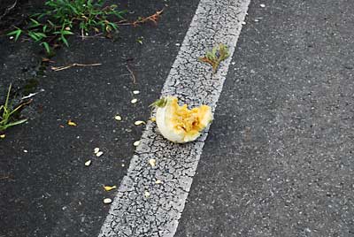 道路にカボチャの食べ残しが…。